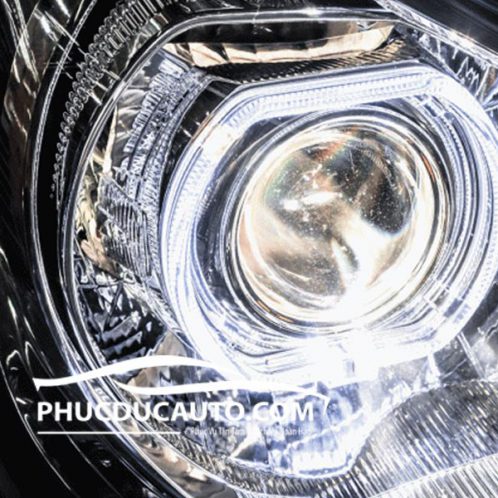 bi_led_wolf_light_attrage