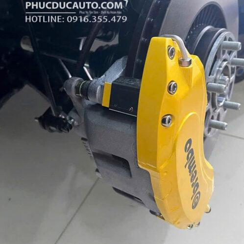 ốp_má_phanh_thể_thao_carnival_2025