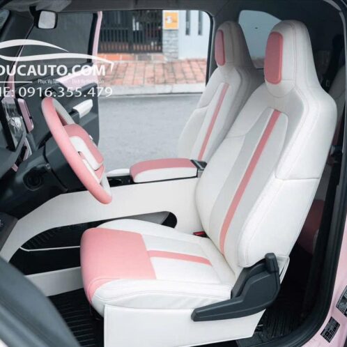 đổi_màu_nội_thất_vf3_sang_trọng