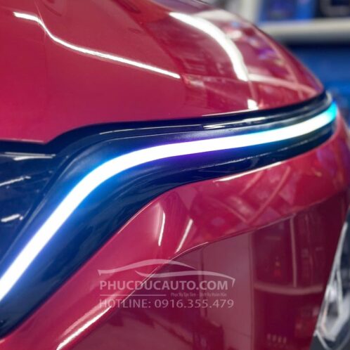 độ_led_cánh_chim_vf5_sang_trọng