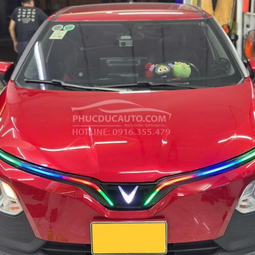 độ_led_cánh_chim_vf5_sang_trọng