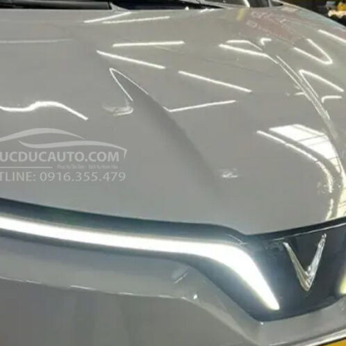 độ_đèn_led_cánh_chim_Limo_Green